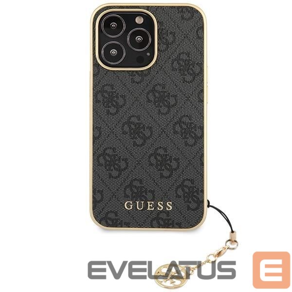Tagakaaned Guess Gray
