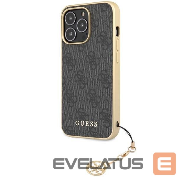 Tagakaaned Guess Gray
