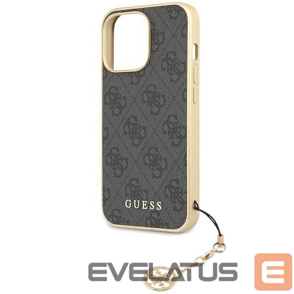 Tagakaaned Guess Gray