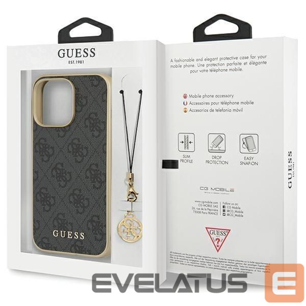Tagakaaned Guess Gray