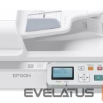 Kaabel EPSON  Network Interface Panel 