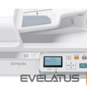 Kaabel EPSON  Network Interface Panel 
