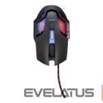 Arvutihiir Acer  Nitro Gaming Mouse II, Wired, Black 