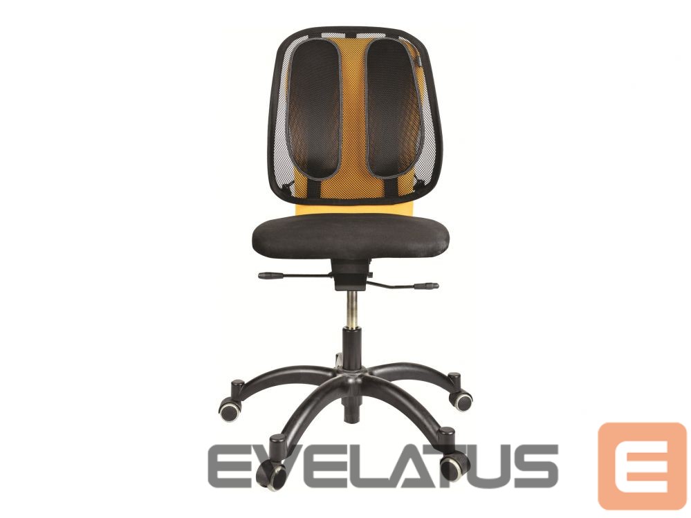 Kontoritarbed Fellowes Office Suites mesh back support