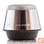 Juhtmevabad kõlarid Evelatus - Bluetooth Speaker ESP01 Silver
