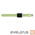 Rihm Snaige Apple Silicone Strap For Apple Watch 42mm Green