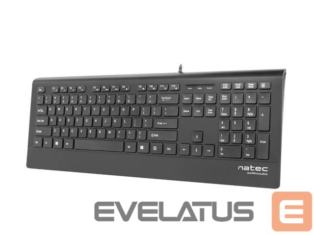 Arvuti klaviatuur Natec Keyboard, Barracuda, US Layout, Slim
