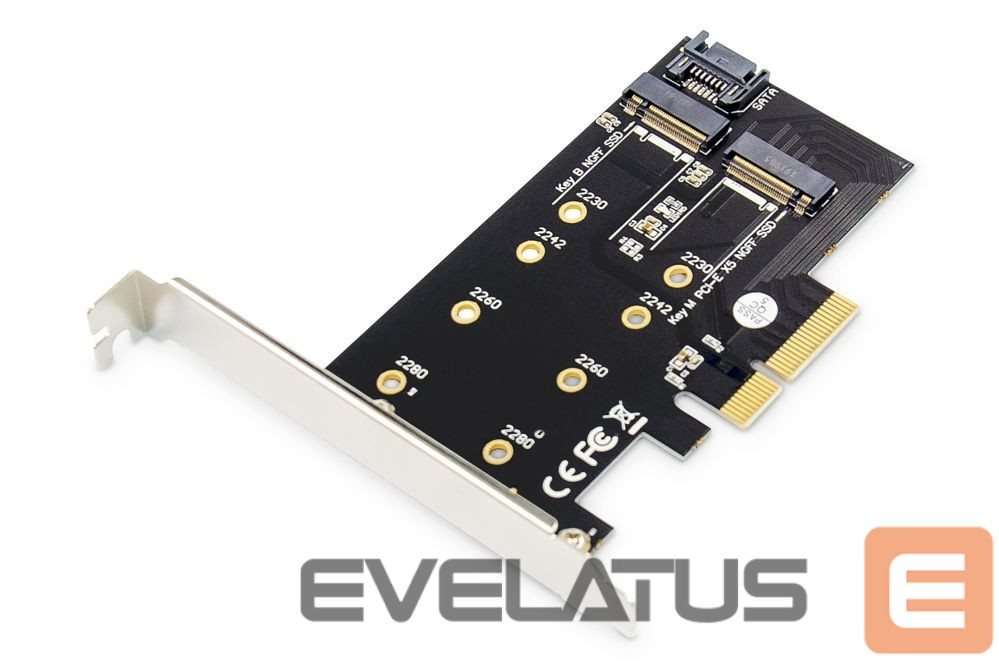 Üleminek Digitus M.2 NGFF / NVMe SSD PCI Express 3.0 (x4) Add-On Card DS-33170