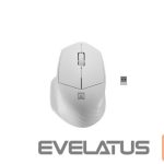 Arvutihiir Natec  Mouse Siskin 2 	Wireless, White, USB Type-A 
