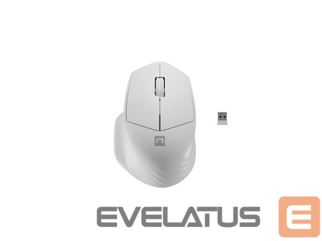 Arvutihiir Natec Mouse Siskin 2 Wireless, White, USB Type-A