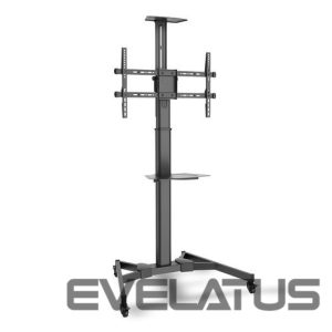 Teleri kinnitus Digitus  TV-Cart for screens up to 70", max. 50kg wheelbase, VESA max. 600x400, Black 