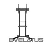 Teleri kinnitus Digitus  TV Cart with Shelf DA-90447	, 37-70 