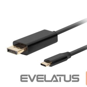 Üleminek Lanberg  USB-C to DisplayPort Cable, 1 m 4K/60Hz, Black 