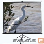 Projektori ekraan Elite Screens  Tripod Series T120NWV1 Diagonal 120 