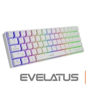 Arvuti klaviatuur Genesis  THOR 660 RGB Gaming keyboard, RGB LED light, US, White, Wireless/Wired, Wireless connection, Gateron Red Switch 