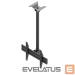 Teleri kinnitus EDBAK  Menu Board Ceiling Mount for One Screen Ceiling mount, MBV1155-L, 42-57 ", Maximum weight (capacity) 70 kg, 	Black 