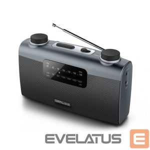 Interaktiivne lahendus Muse  Portable radio M-058R Black, AUX in 