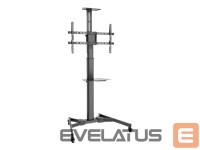 Monitori tarvik Assman electronic  DIGITUS TV-Cart for screens up to 70inch 