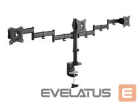 Monitori tarvik Assman electronic  DIGITUS Universal Tripple Monitor Stand 