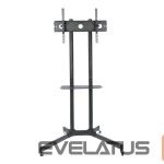 Arvuti komponendid Techly  309982  Mobile stand for TV 