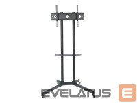 Arvuti komponendid Techly  309982  Mobile stand for TV 