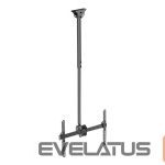 Monitori tarvik Techly  TECHLY 309357 Techly Ceiling mount for T 