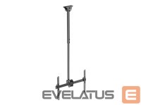 Monitori tarvik Techly  TECHLY 309357 Techly Ceiling mount for T 