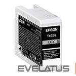 Tarvikud ja tarvikud EPSON  EPSON Singlepack Light Gray T46S9 UltraC 