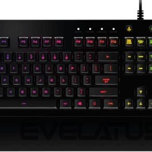Arvuti klaviatuur Logitech  KEYBOARD G213 GAMING ENG/920-008093 