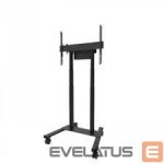 Telerite tarvikud NEOMOUNTS  TV SET ACC FLOOR STAND 37-100"/FL55-875BL1 
