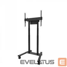 Telerite tarvikud NEOMOUNTS  TV SET ACC FLOOR STAND 37-100"/FL55-875BL1 