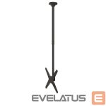 Telerite tarvikud NEOMOUNTS  TV SET ACC CEILING MOUNT 32-75/FPMA-C340BLACK 