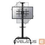 Telerite tarvikud NEOMOUNTS  TV SET ACC FLOOR STAND BLACK/37-70" PLASMA-M1900E 