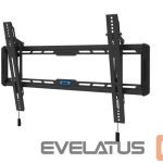 Telerite tarvikud NEOMOUNTS  TV SET ACC WALL MOUNT/WL35-550BL16 