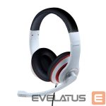 Kõrvaklapid Gembird  HEADSET STEREO WHITE/MHS-03-WTRDBK 