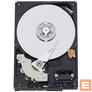Kõvaketas HDD Western Digital  HDD||Blue|2TB|SATA 3.0|64 MB|5400 rpm|3,5"|WD20EARZ 