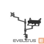 Muu arvutitarvik NEOMOUNTS  NB/MONITOR ACC DESK MOUNT/DS20-425BL2 