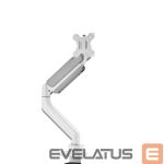 Teleri kinnitus NEOMOUNTS  MONITOR ACC DESK MOUNT 17-49 
