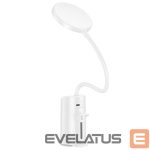 Laualamp Hoco  HX10 Clip table lamp White