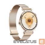 Nutikell Huawei  Watch GT6 41mm Gold Stainless Steel Case with Gold Milanese Strap Gold