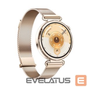 Nutikell Huawei  Watch GT6 41mm Gold Stainless Steel Case with Gold Milanese Strap Gold