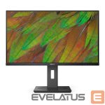 Monitorid Mmd-monitors & displays  PHILIPS 32B1U3900/00 Monitor 31.5i UHD 