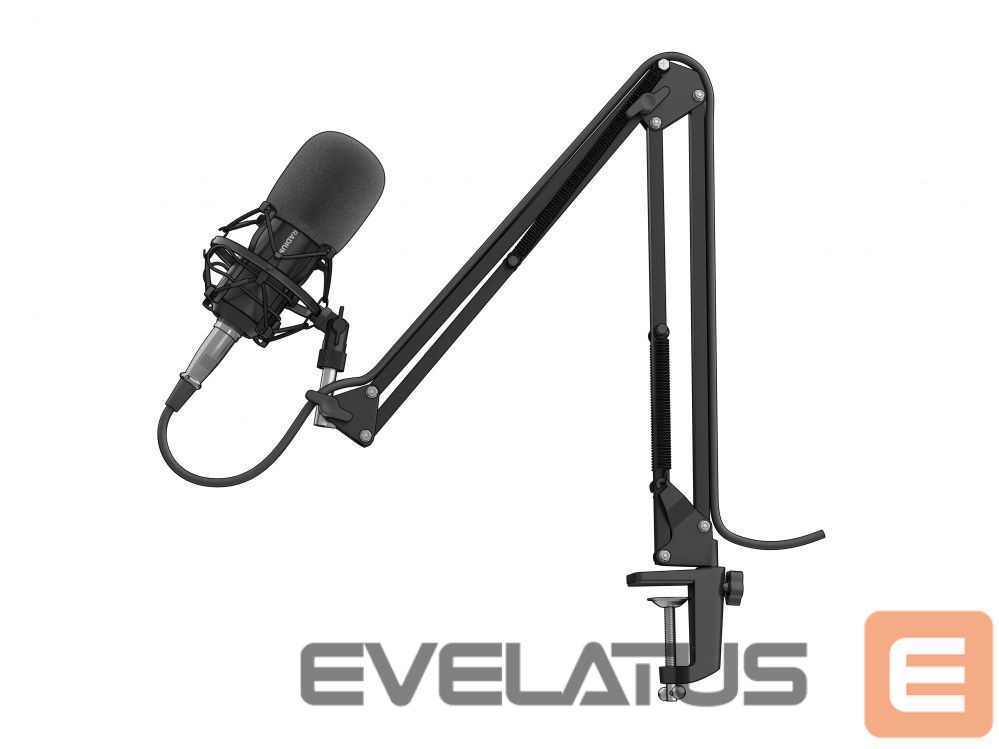 Muu arvutitarvik Genesis Gaming Microphone Radium 300 Black, Wired