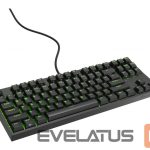 Arvuti klaviatuur Genesis  Mechanical Gaming Keyboard THOR 404 TKL RGB Mechanical Gaming Keyboard Wired US Kailh Box Brown V2 USB Type-A 1005 g 