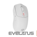 Arvutihiir Genesis  Zircon 500 | Wireless/Wired | Gaming Mouse | 2.4 GHz, Bluetooth, USB | White 