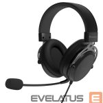 Juhtmevabad kõrvaklapid Genesis  Gaming Headset | Toron 301 | Wired | Over-ear | Microphone | Black 
