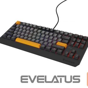Arvuti klaviatuur Genesis  THOR 230 | Mechanical Gaming Keyboard | Wired | US | Anchor Gray Negative | USB Type-A | Outemu Red 