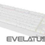 Arvuti klaviatuur Genesis  THOR 230 | Mechanical Gaming Keyboard | Wireless | US | White | 2.4 GHz, Bluetooth, USB | Outemu Red 