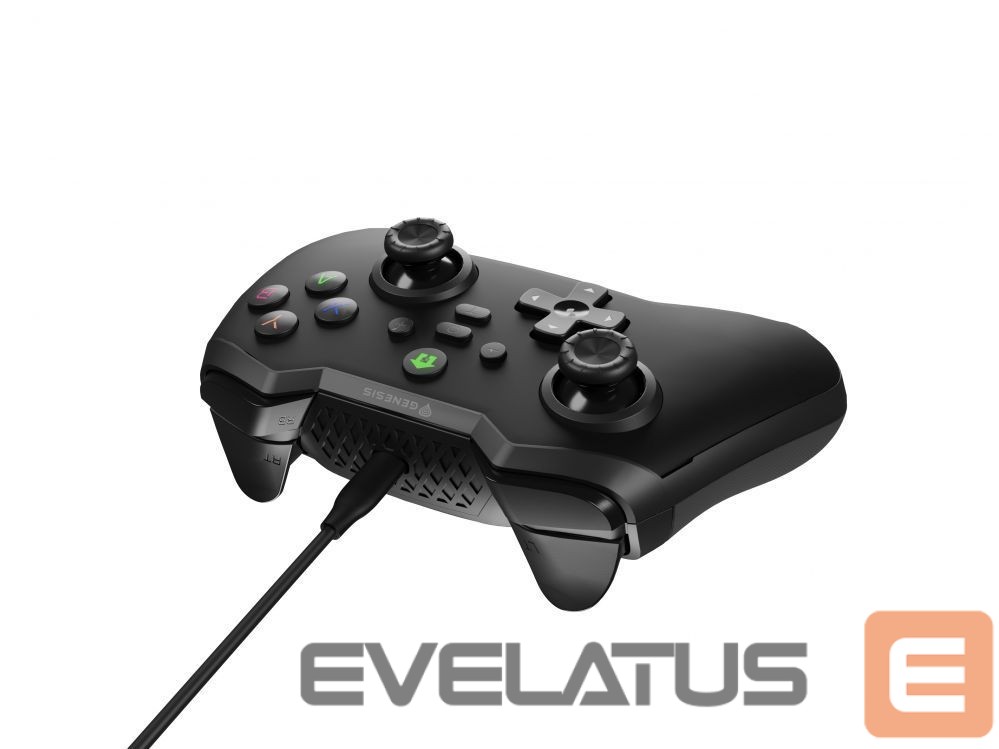 Arvutitoolid / lauad Genesis Mangan 300 Gamepad, Black, Wired