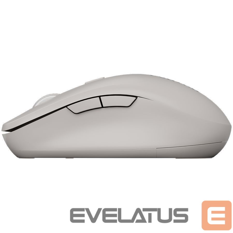 Arvutihiir Canyon CANYON mouse MW-12 Dual band Wireless grey